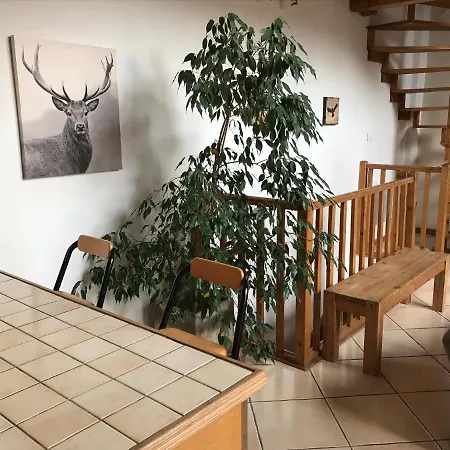 펜션 Ski Lodge